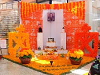 IMG (1)